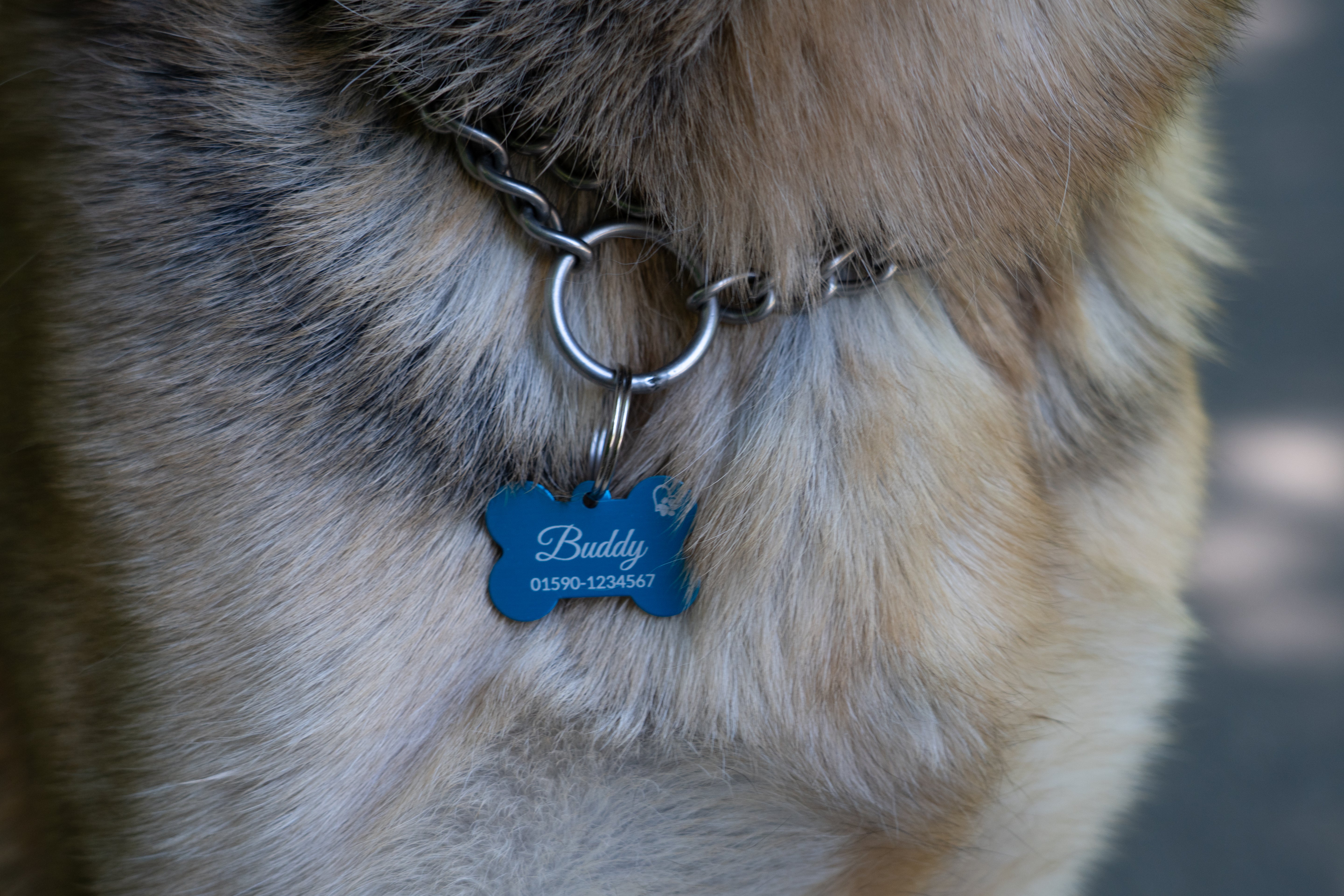 Personalisierte Hundemarke – Knochenform